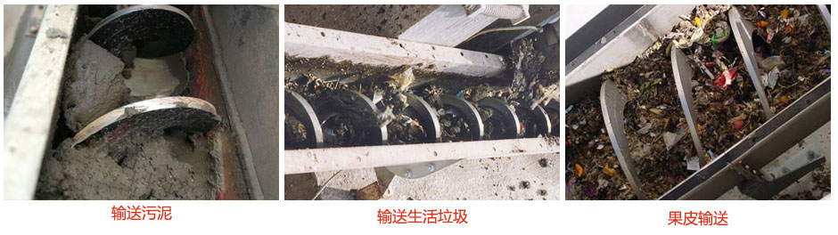 無軸蘑菇视频网址官网輸送汙泥，生活垃圾，果皮等使用現場